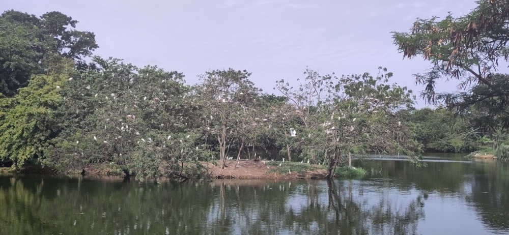 Bild: Botanischer Garten Accra