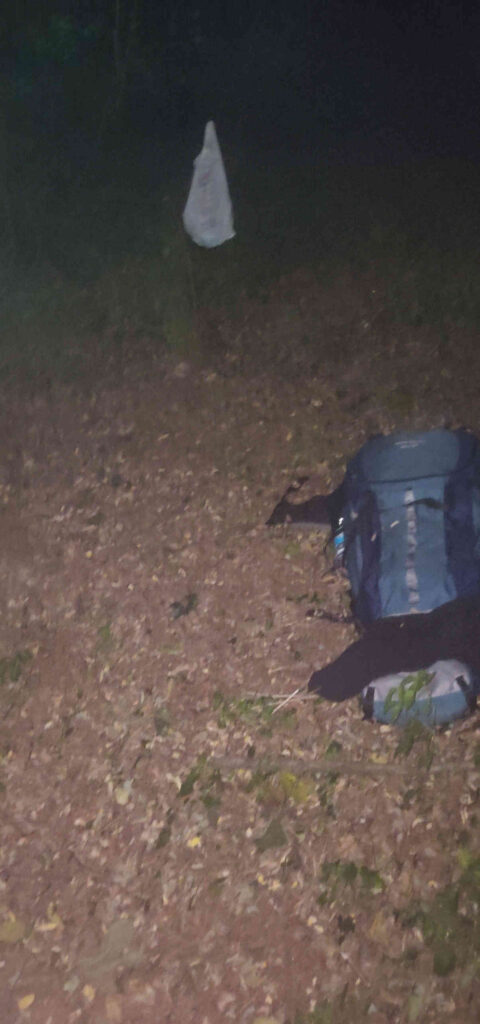 Bild: Schlafplatz im Wald