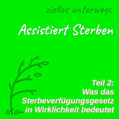 Bild: Assistiert Sterben – Teil 2: Was das Sterbeverfügungsgesetz wirklich bedeutet